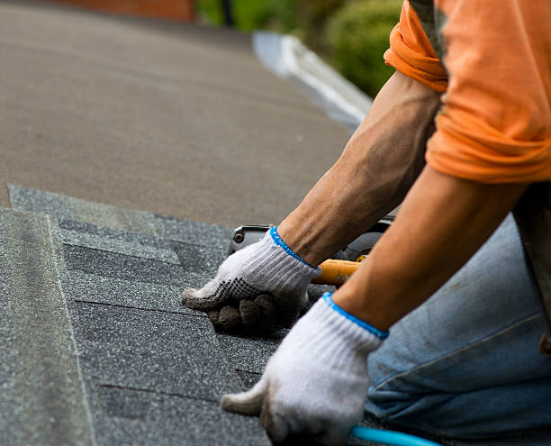 Best Roof Gutter Cleaning  in Hudson, TX